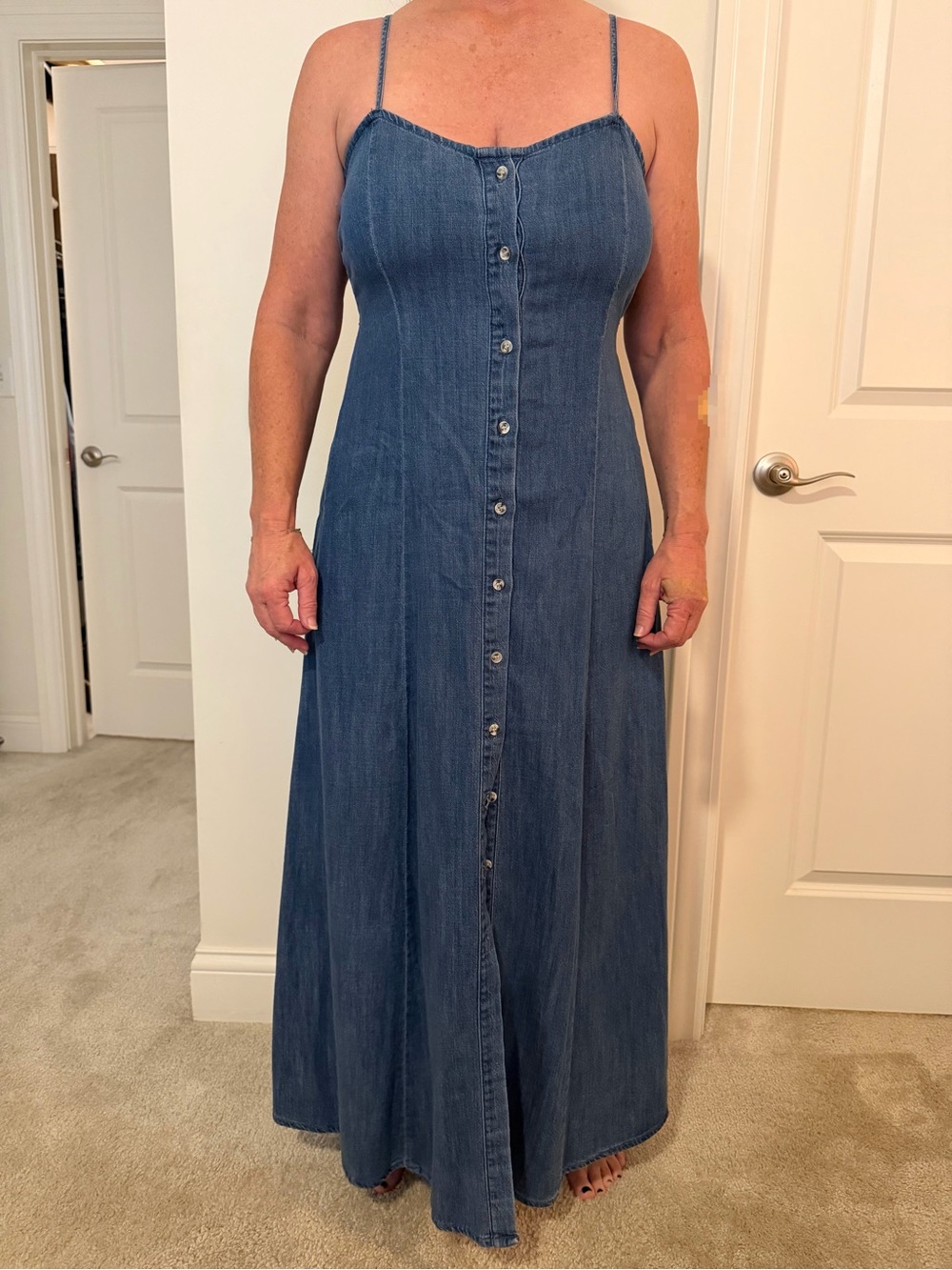 Z Supply Indigo Denim Button-Front Maxi Dress